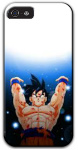 iPhone 5 Case
